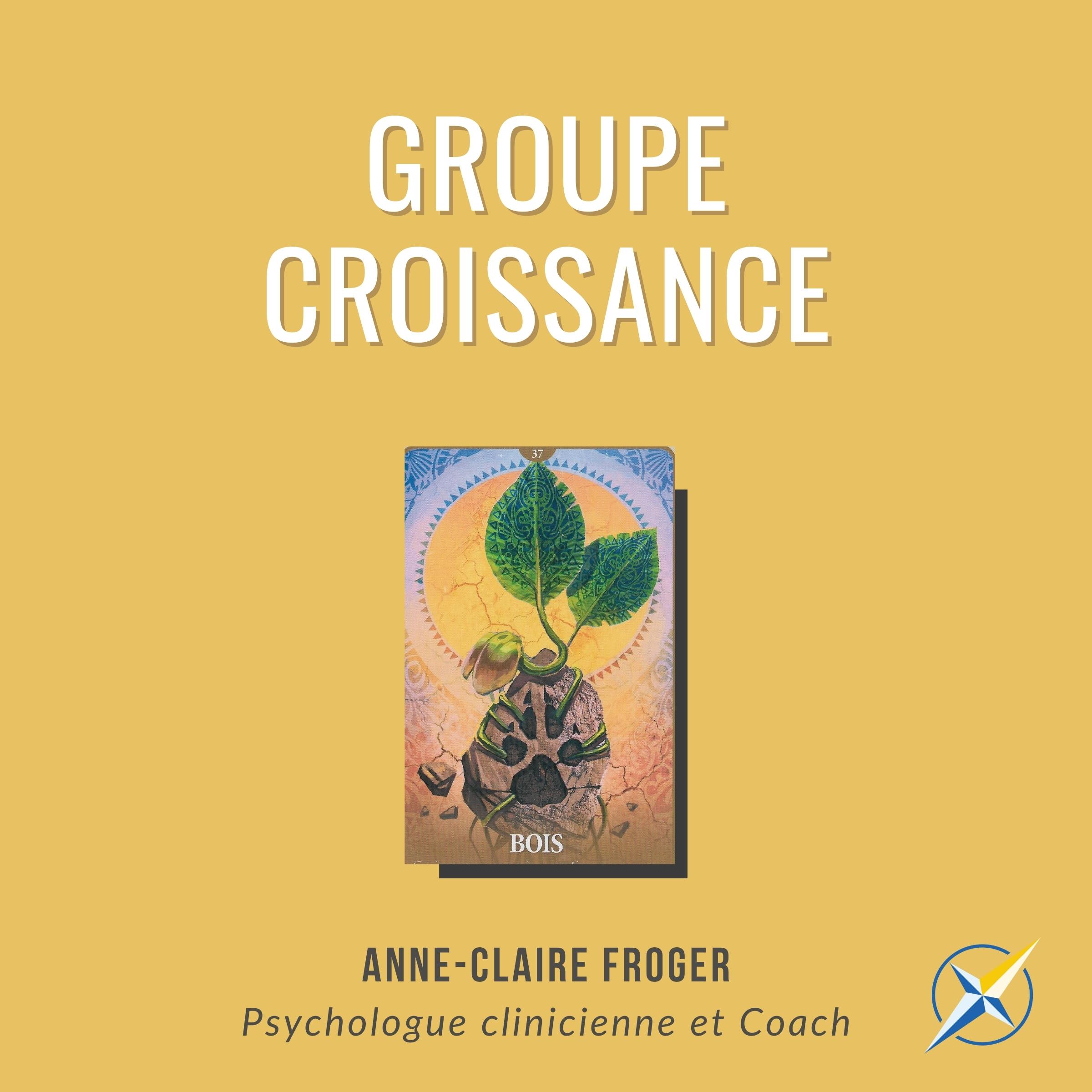 groupe-croissance-6-sessions-de-2h-objectif-nouvelle-vie-anne